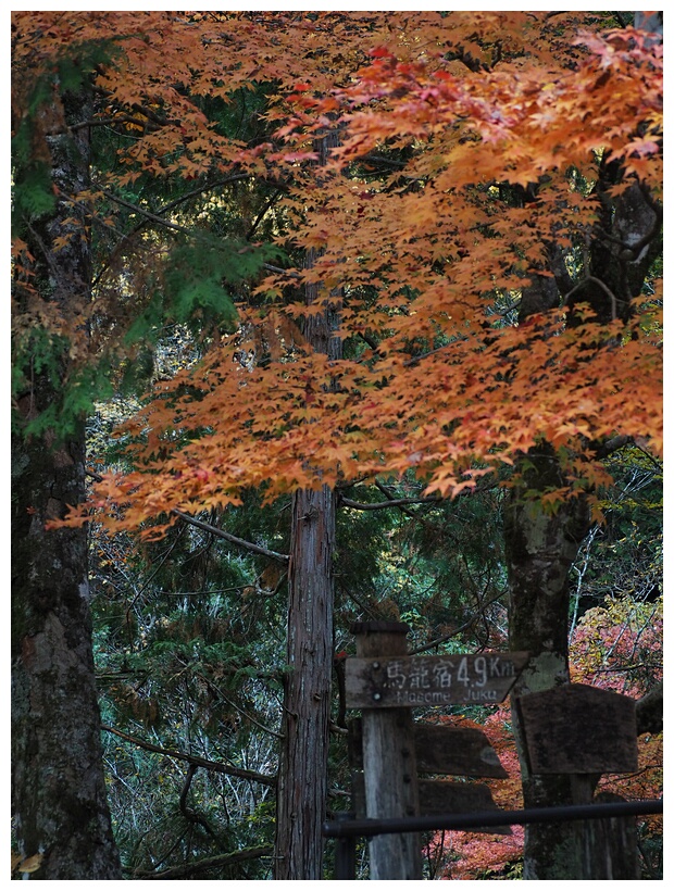 Nakasendo Trail