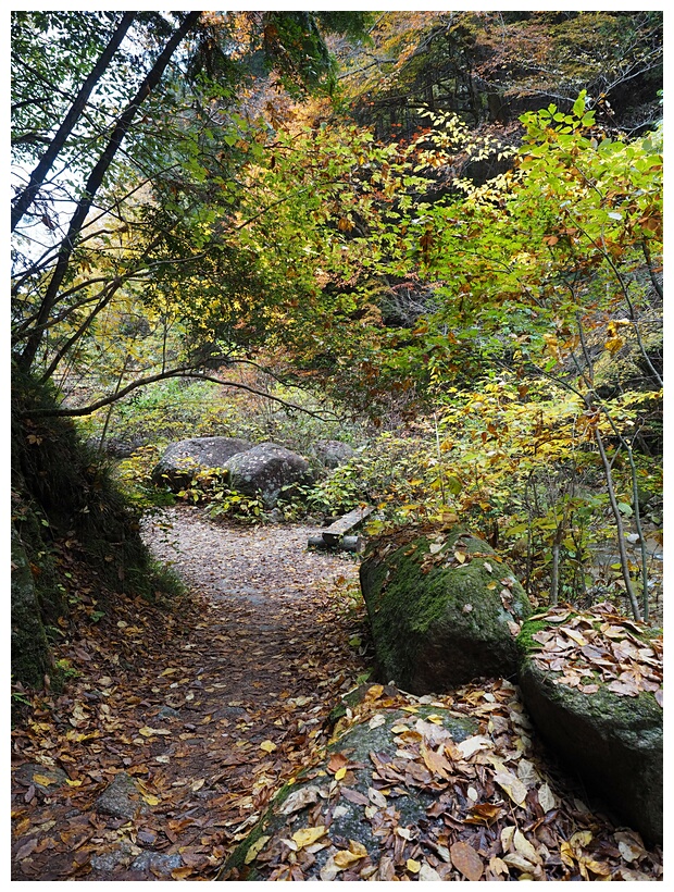 Nakasendo Trail