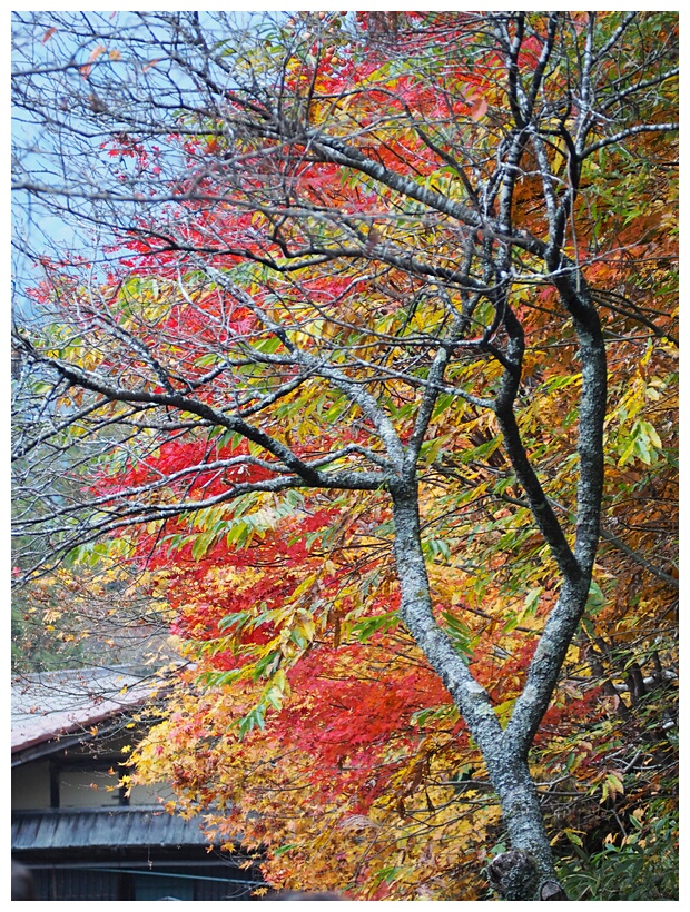 Nakasendo Road
