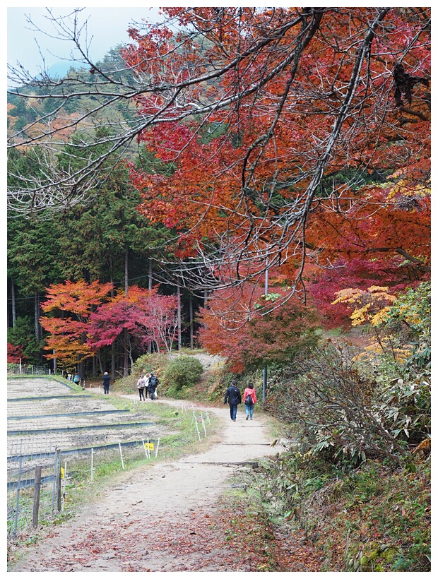 Nakasendo Trail