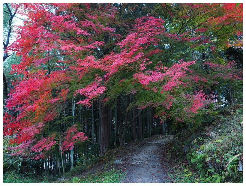 Nakasendo Highway