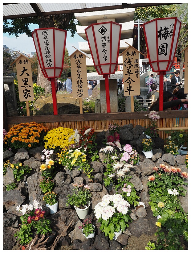 Senso-ji Temple