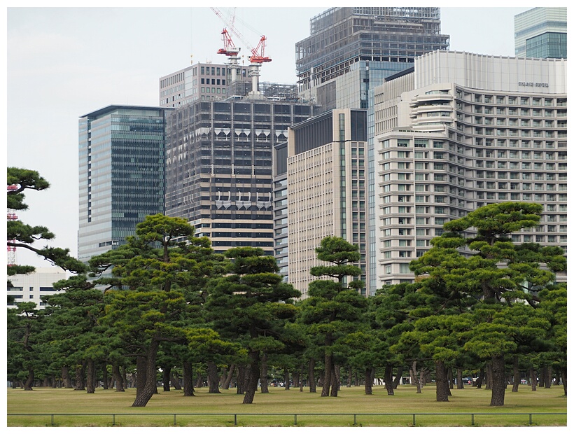 Kokyo Gaien National Gardens