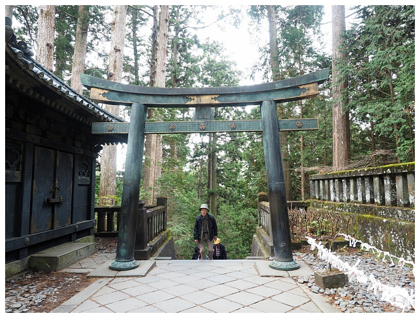 Torii Gate