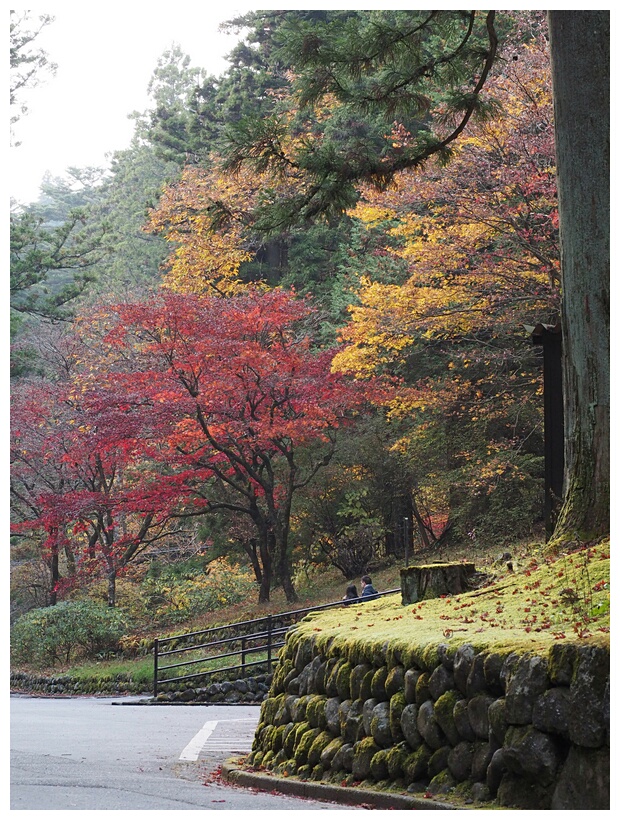 Nikko