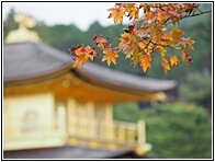Kinkaku-ji Temple