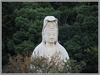 Goddess of Mercy