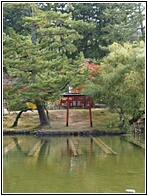 Torii Gate