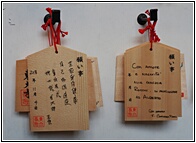 Ema Boards