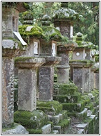 Kasuga Taisha Lanterns