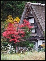 Ogimachi Farmhouse