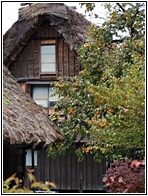 Gassho-zukuri Houses