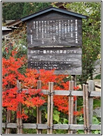 Shirakawa-go