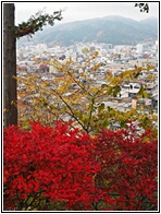 Takayama View