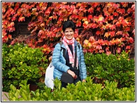 Among Leaves