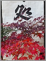 Calligraphy