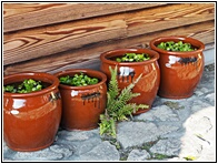 Ceramic Pots