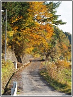 Nakasendo Trail