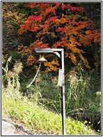 Road Bell