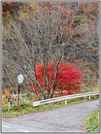 Nakasendo Trail