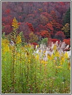 Kiso Valley