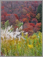Kiso Valley