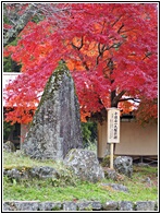 Japanese Autumn