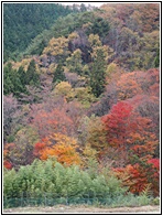 Kiso Valley