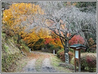 Nakasendo Trail