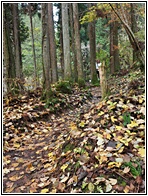 Nakasendo Trail