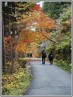 Nakasendo Trail