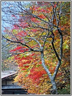Nakasendo Road