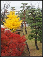 Matsumoto Castle