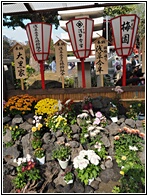 Senso-ji Temple