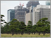 Kokyo Gaien National Gardens