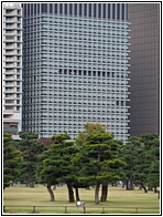 Kokyo Gaien National Gardens