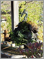 Cleansing Ritual