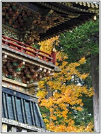 Tosho-gu Shrine
