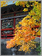 Toshogu Shrine