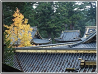 Toshogu Roofs