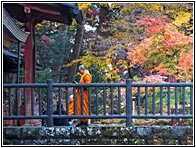 Nikko