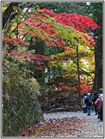 Nikko