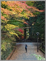 Nikko