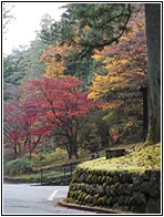Nikko