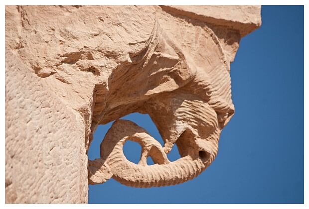 Elephant Head