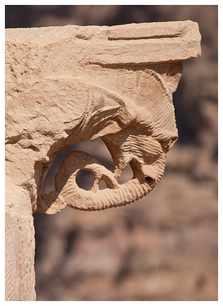 Elephant Capitel