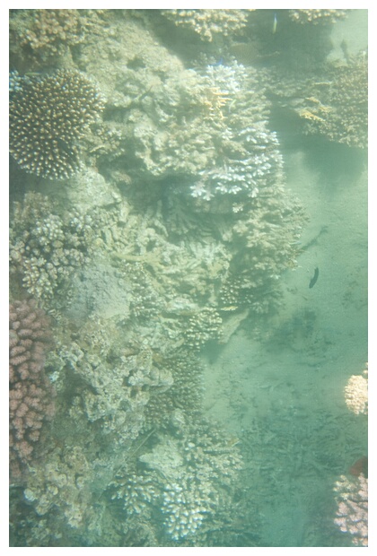 Aqaba Marine Park
