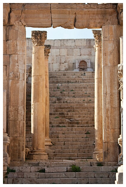 The Cathedral