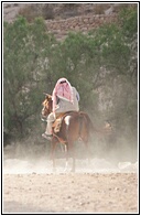 Horse Riding