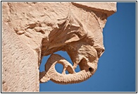 Elephant Head